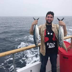 Meet your Posher, Daniel